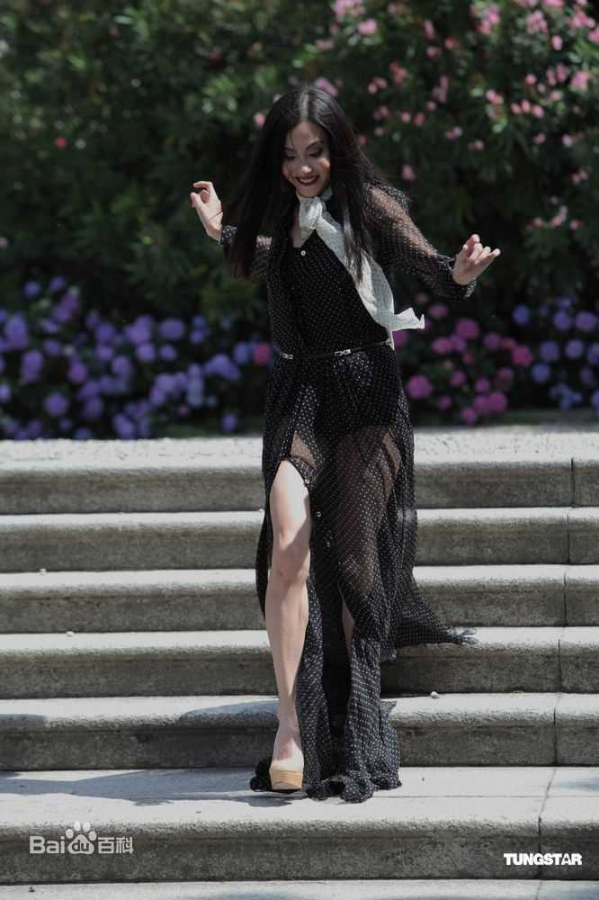 张柏芝(Cecilia Cheung)精彩图册