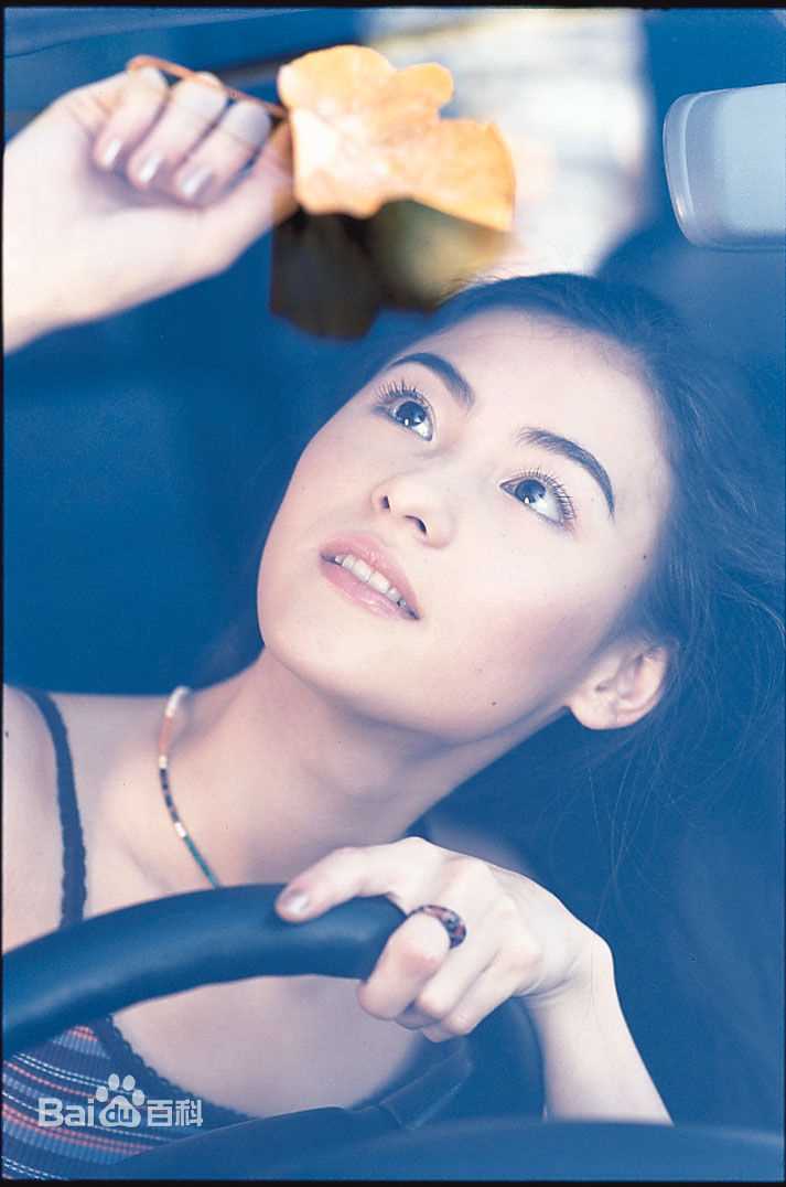 张柏芝(Cecilia Cheung)精彩图册1
