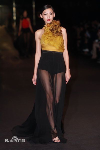 张柏芝(Cecilia Cheung)精彩图册1