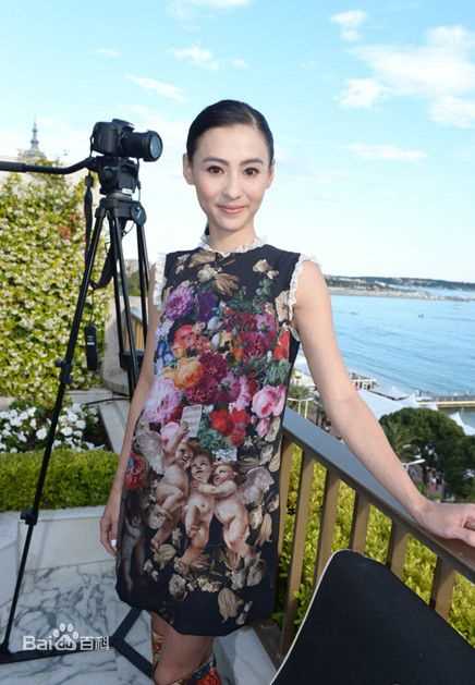 张柏芝(Cecilia Cheung)精彩图册1
