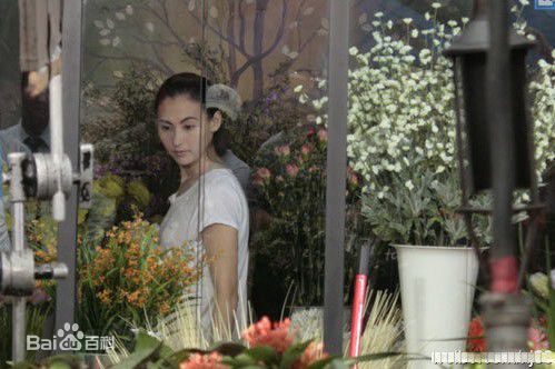 张柏芝(Cecilia Cheung)精彩图册