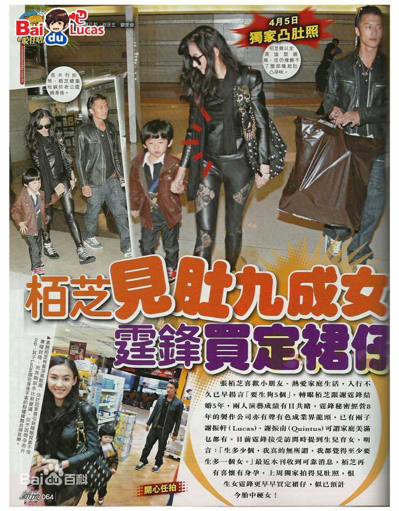 张柏芝(Cecilia Cheung)精彩图册