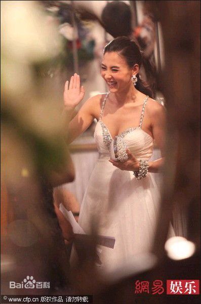 张柏芝(Cecilia Cheung)精彩图册