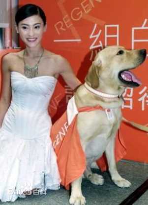 精选张柏芝(Cecilia Cheung)精彩图册3