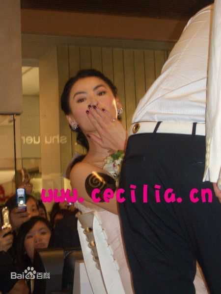 精选张柏芝(Cecilia Cheung)精彩图册3