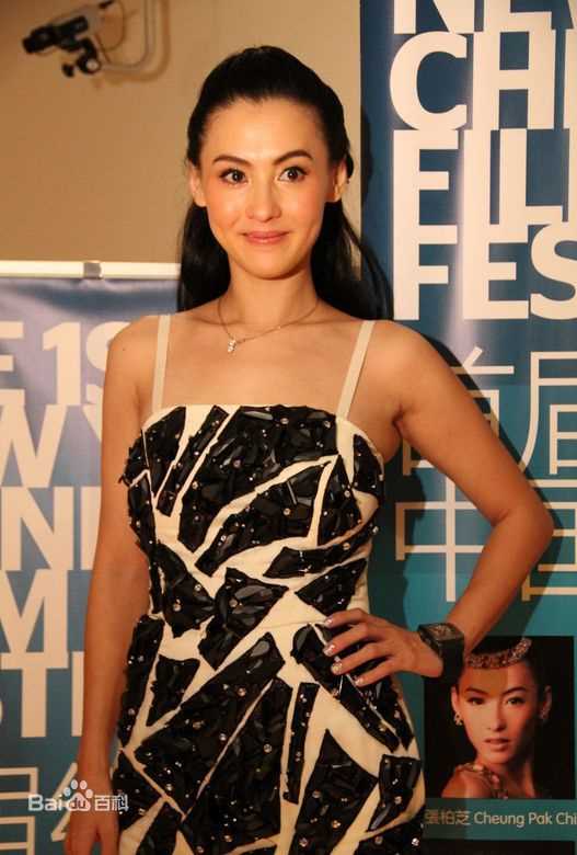 张柏芝(Cecilia Cheung)2010.9.19首届纽约中国电影节壁纸壁纸