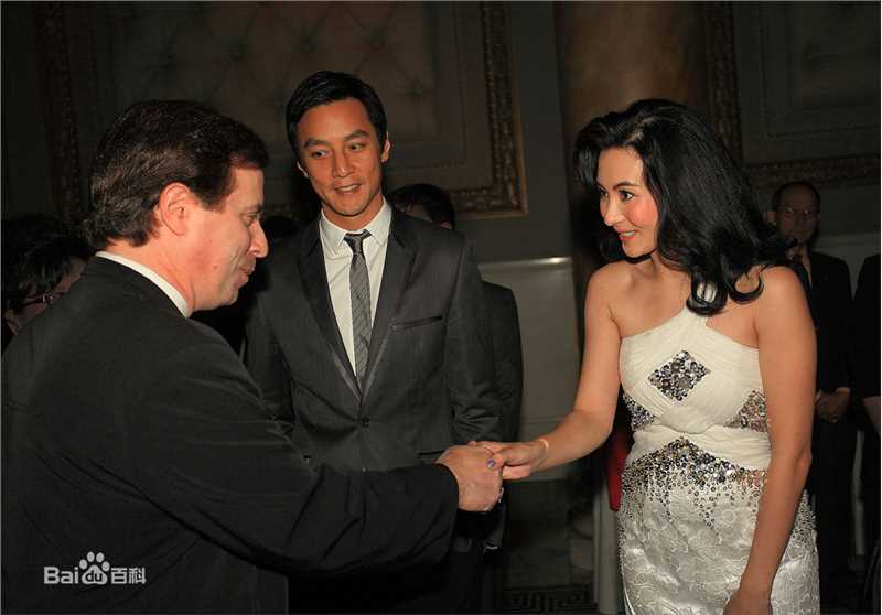 张柏芝(Cecilia Cheung)2010.9.19首届纽约中国电影节壁纸壁纸