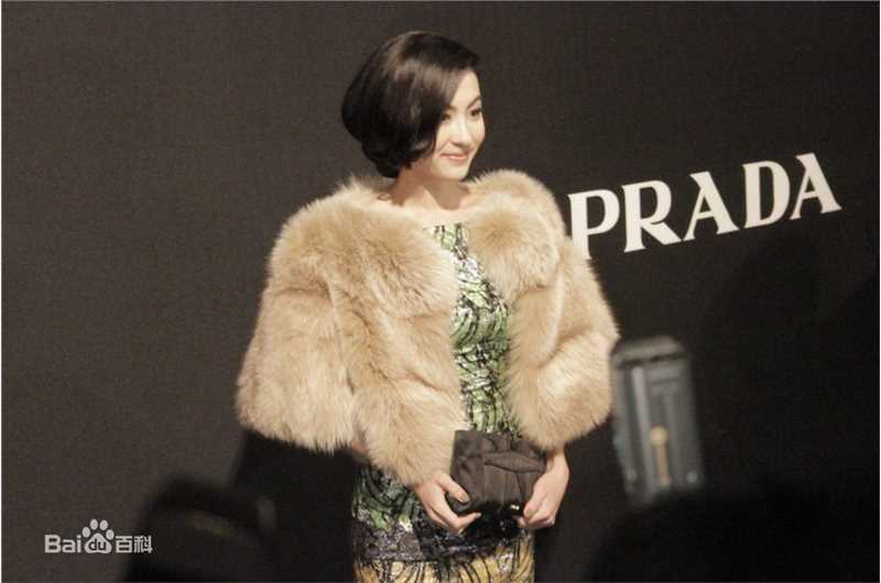 张柏芝(Cecilia Cheung)Prada2011春夏时装Show图片图册