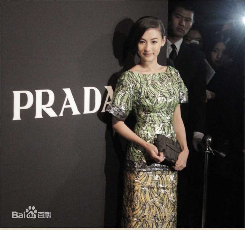 张柏芝(Cecilia Cheung)Prada2011春夏时装Show图片图册