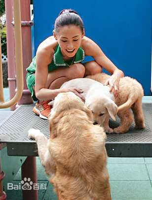 精选张柏芝(Cecilia Cheung)精彩图册3