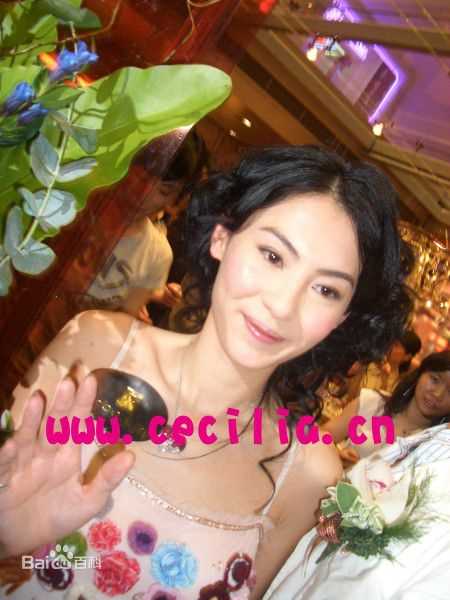 精选张柏芝(Cecilia Cheung)精彩图册3