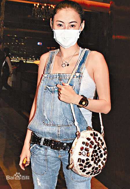 精选张柏芝(Cecilia Cheung)精彩图册3