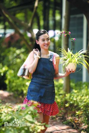 精选张柏芝(Cecilia Cheung)精彩图册3