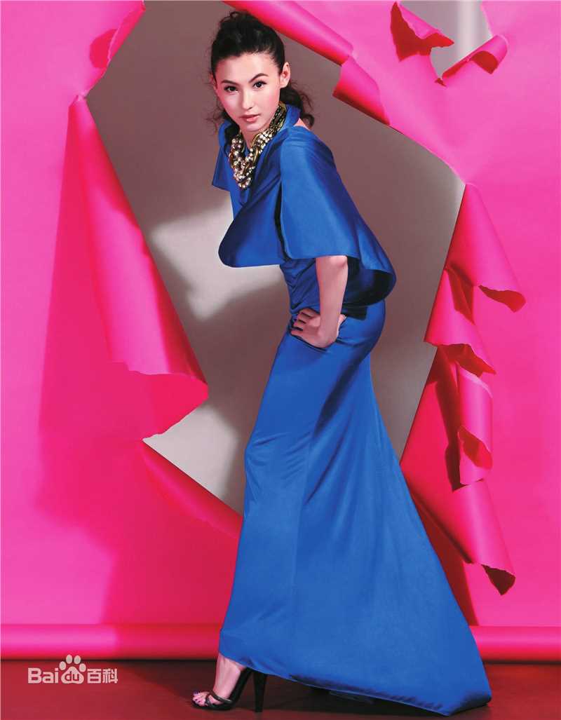 精选张柏芝(Cecilia Cheung)精彩图册3