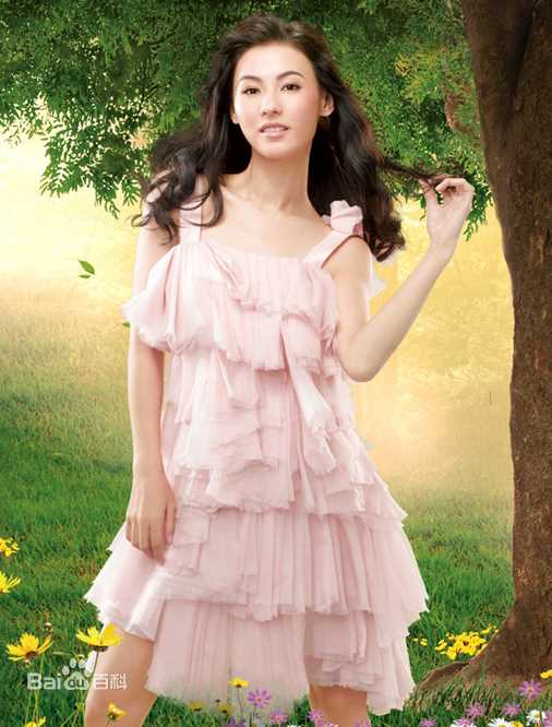 最新张柏芝(Cecilia Cheung)精彩图册4