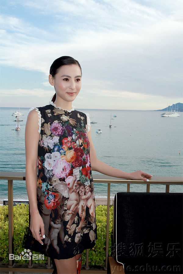 最新张柏芝(Cecilia Cheung)精彩图册4