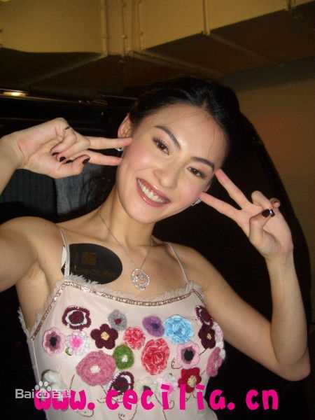 最全张柏芝(Cecilia Cheung)精彩图册4