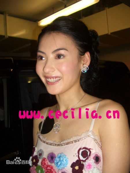 最全张柏芝(Cecilia Cheung)精彩图册4