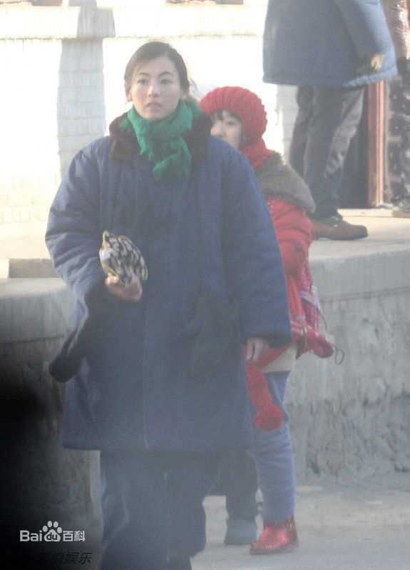 高清张柏芝(Cecilia Cheung)精彩图册