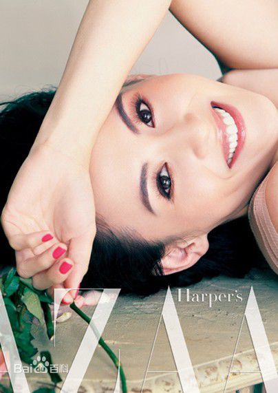 精选张柏芝(Cecilia Cheung)精彩图册3