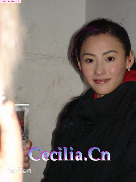 高清张柏芝(Cecilia Cheung)精彩图册1
