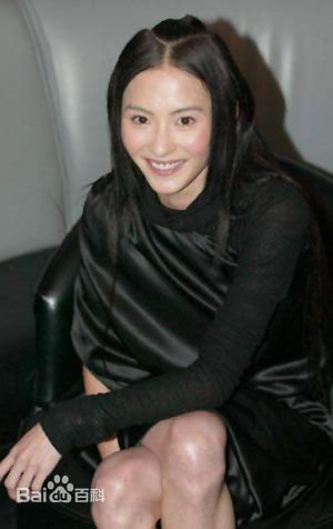高清张柏芝(Cecilia Cheung)精彩图册1