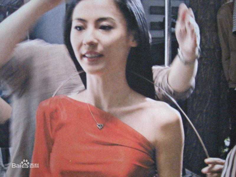 精选张柏芝(Cecilia Cheung)精彩图册