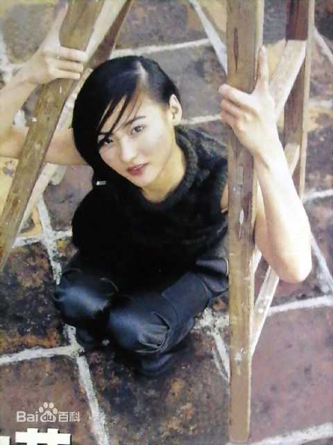 精选张柏芝(Cecilia Cheung)精彩图册