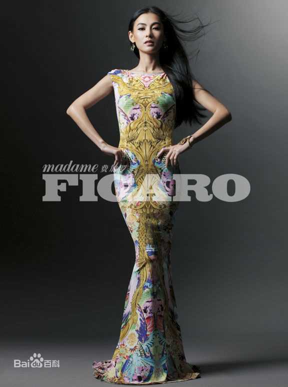 精选张柏芝(Cecilia Cheung)精彩图册