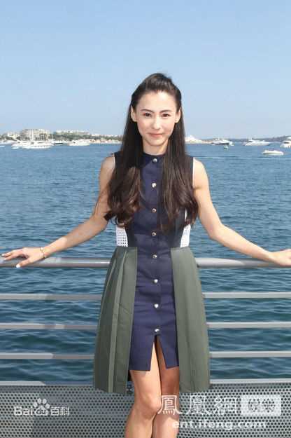 精选张柏芝(Cecilia Cheung)精彩图册