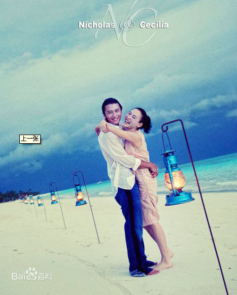 精选张柏芝(Cecilia Cheung)精彩图册