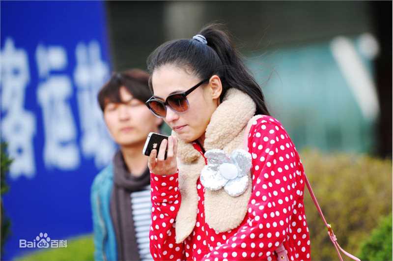 精选张柏芝(Cecilia Cheung)精彩图册