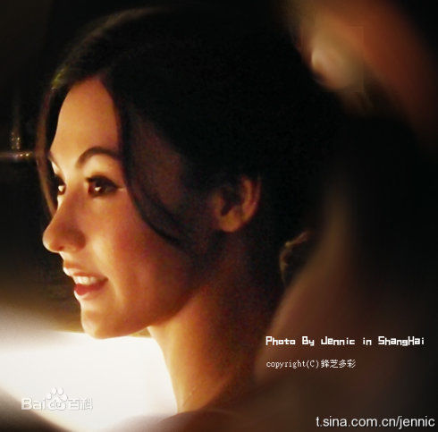 精选张柏芝(Cecilia Cheung)精彩图册