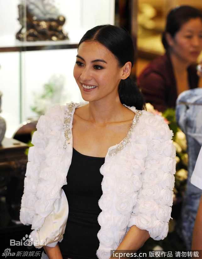 最优质张柏芝(Cecilia Cheung)精彩图册