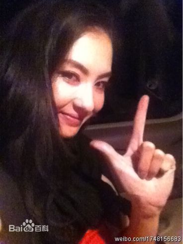 最优质张柏芝(Cecilia Cheung)精彩图册