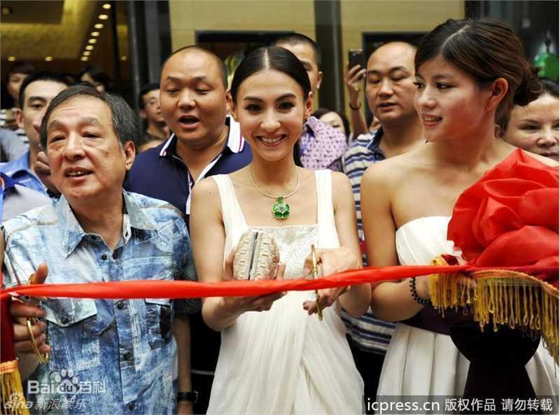 最优质张柏芝(Cecilia Cheung)精彩图册