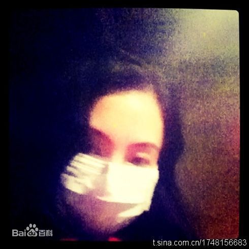 最优质张柏芝(Cecilia Cheung)精彩图册