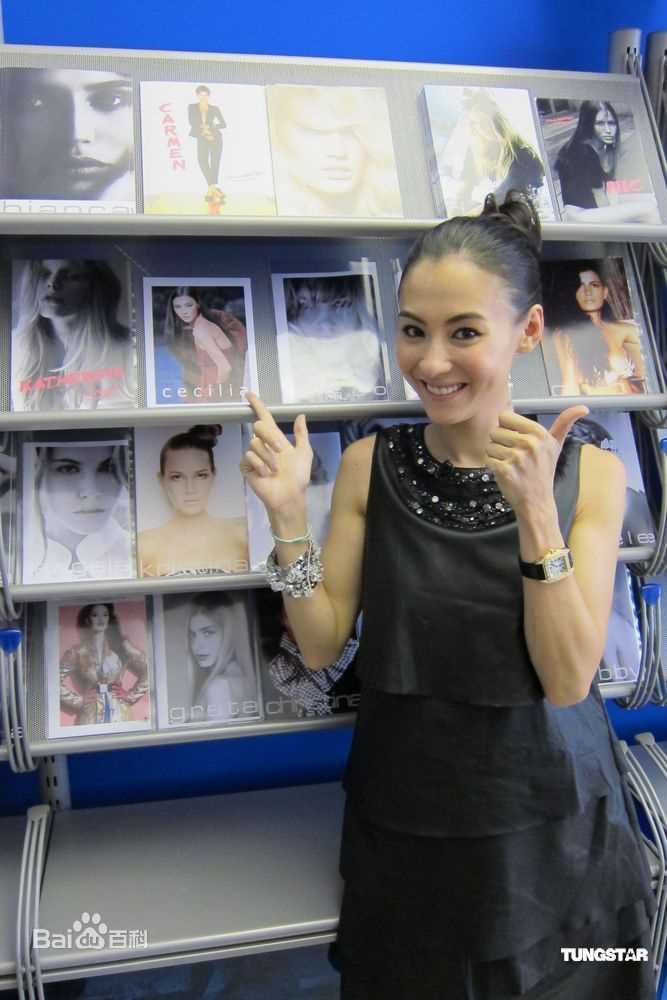 最优质张柏芝(Cecilia Cheung)精彩图册