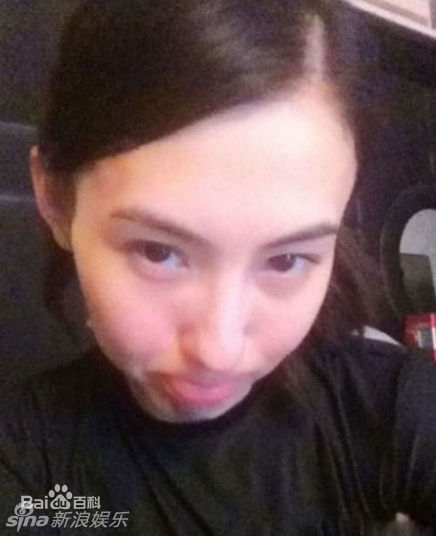 最优质张柏芝(Cecilia Cheung)精彩图册