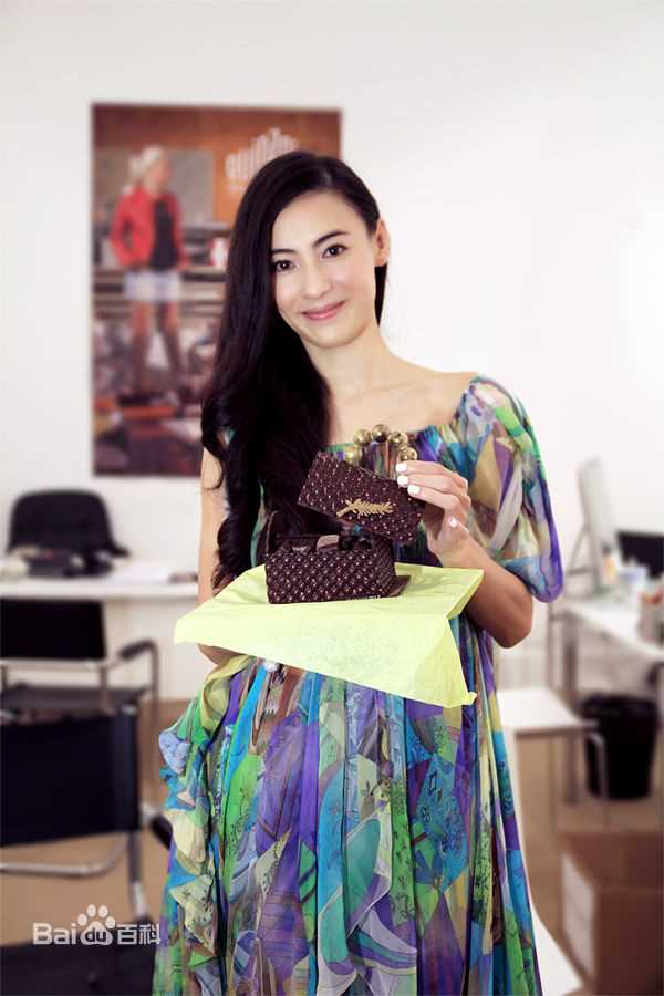 最优质张柏芝(Cecilia Cheung)精彩图册1