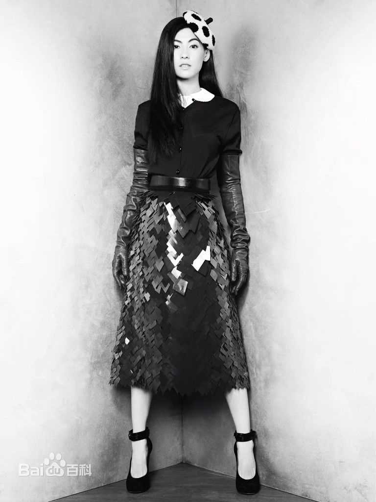 最优质张柏芝(Cecilia Cheung)精彩图册1