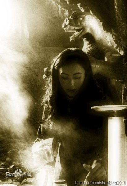 最优质张柏芝(Cecilia Cheung)精彩图册1