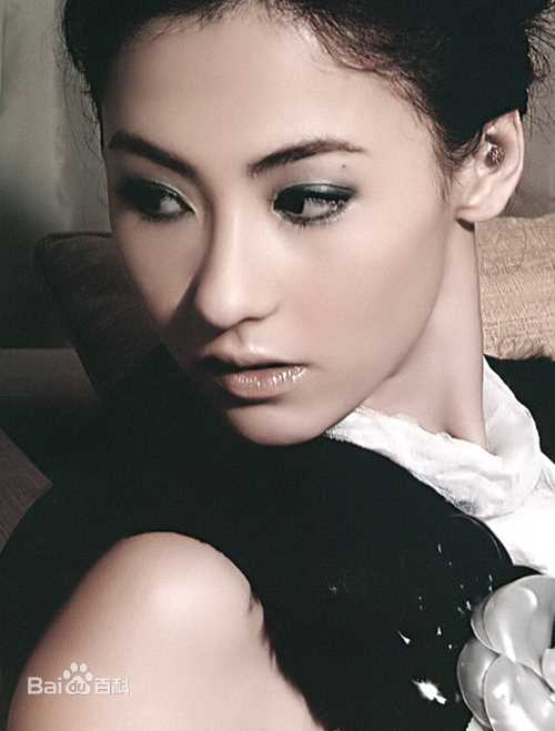 最优质张柏芝(Cecilia Cheung)精彩图册1