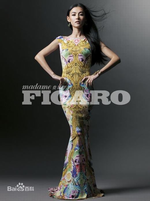 最优质张柏芝(Cecilia Cheung)精彩图册1