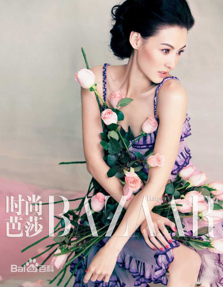 最优质张柏芝(Cecilia Cheung)精彩图册1