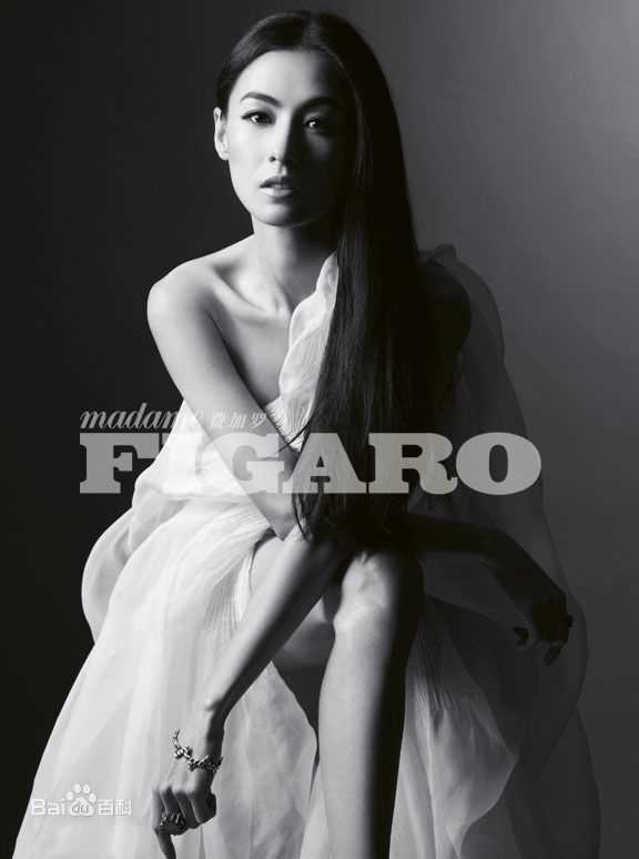 最全张柏芝(Cecilia Cheung)精彩图册