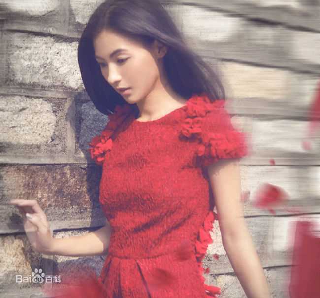 最全张柏芝(Cecilia Cheung)精彩图册