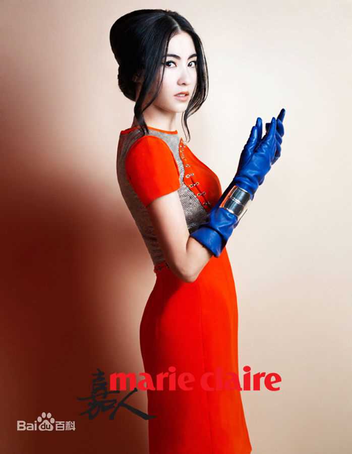 最全张柏芝(Cecilia Cheung)精彩图册