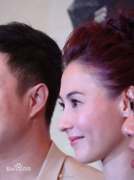 最全张柏芝(Cecilia Cheung)精彩图册