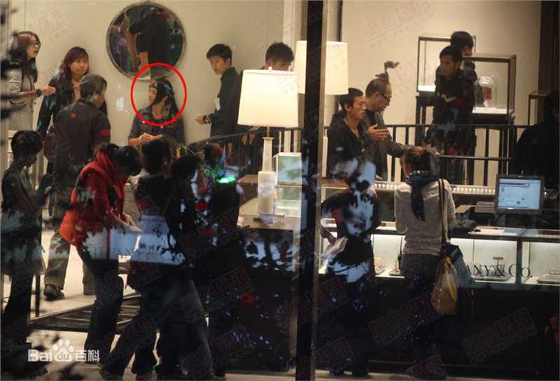 高清张柏芝(Cecilia Cheung)精彩图册